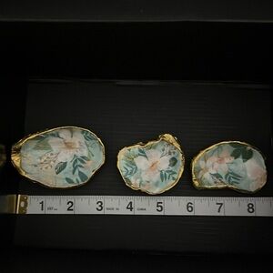 OYSTER SEASHELLS for decoration